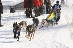 Lenk 2012 SM